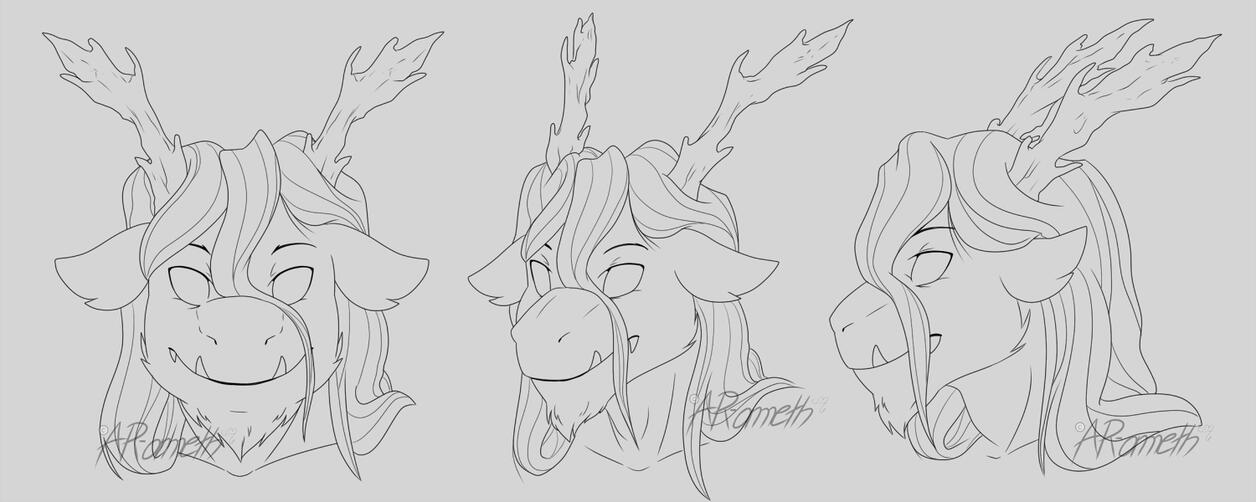 Bust Sketches